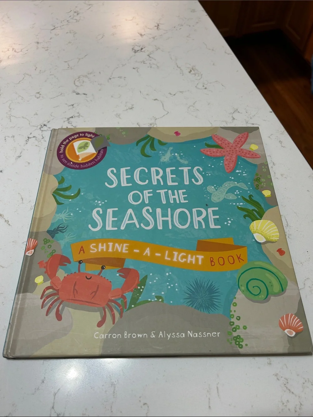 Secrets of the Seashore - A Shine-A-Light Book (Blue)